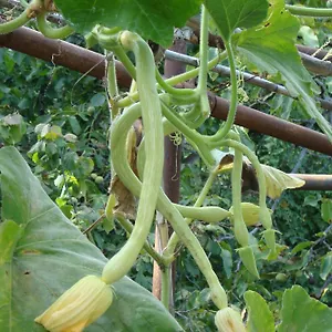  Appartamento I Girasoli
